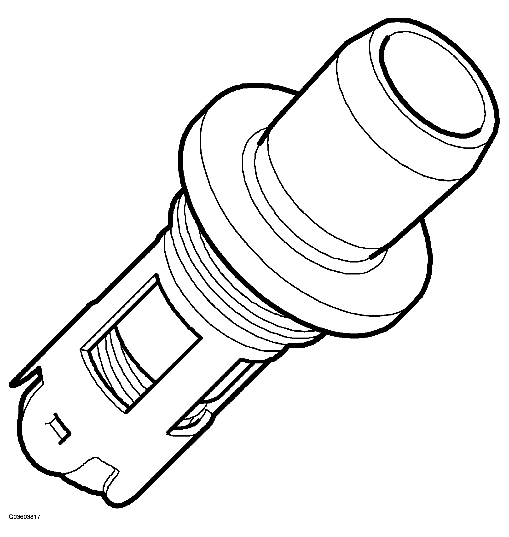 G03603817