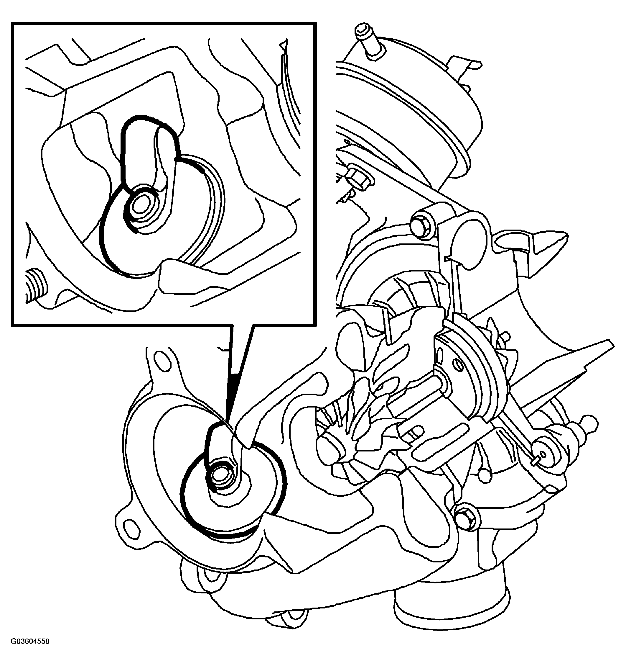 G03604558