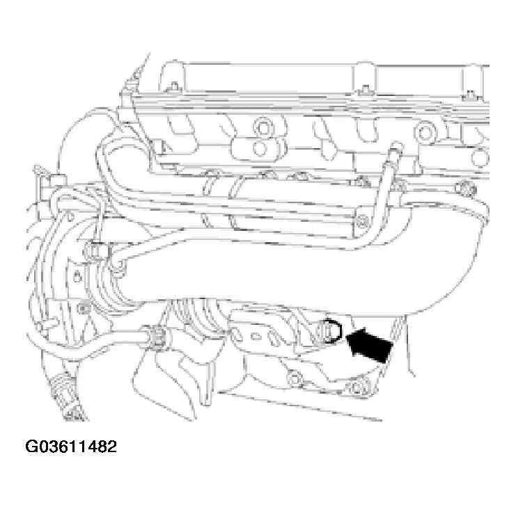G03611482