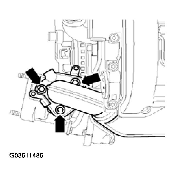 G03611486