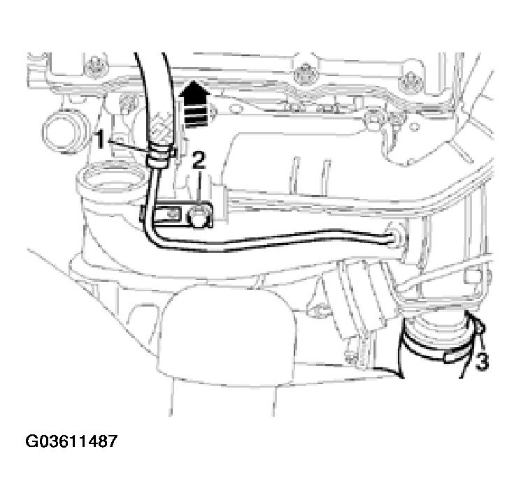 G03611487