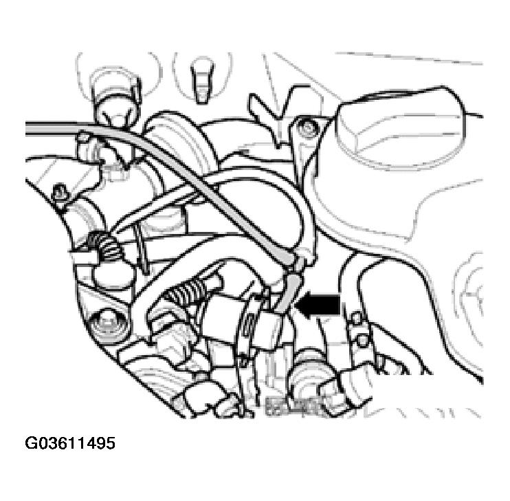 G03611495