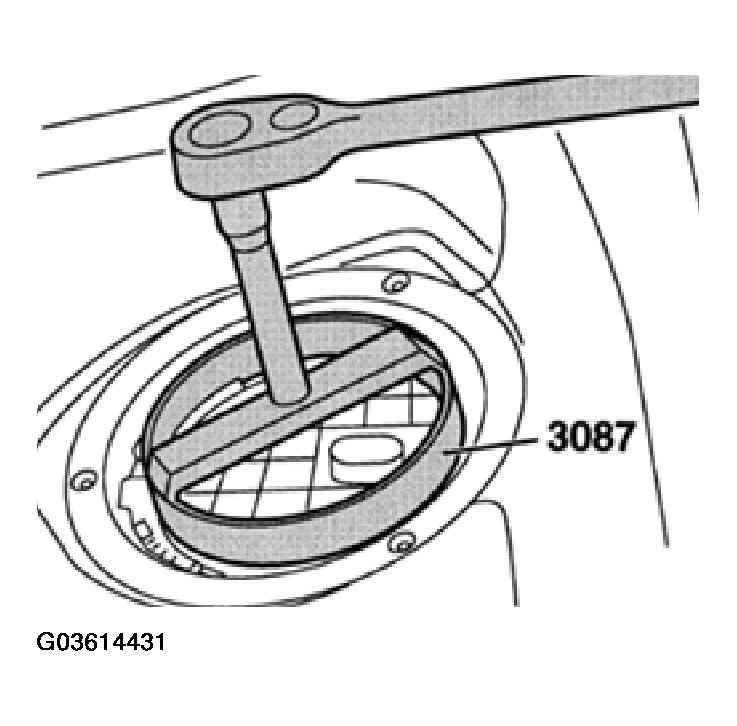 G03614431