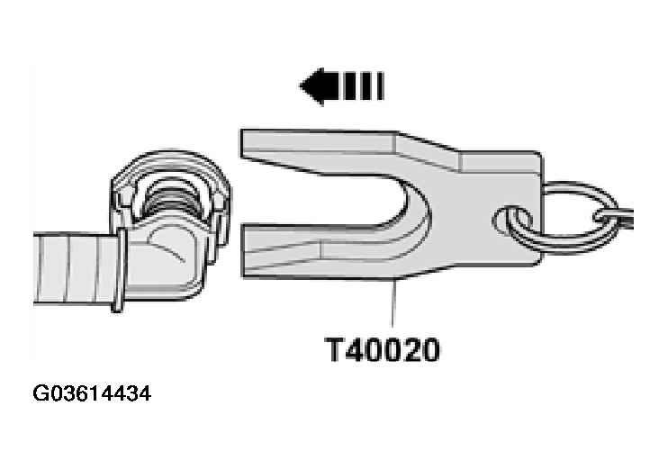 G03614434