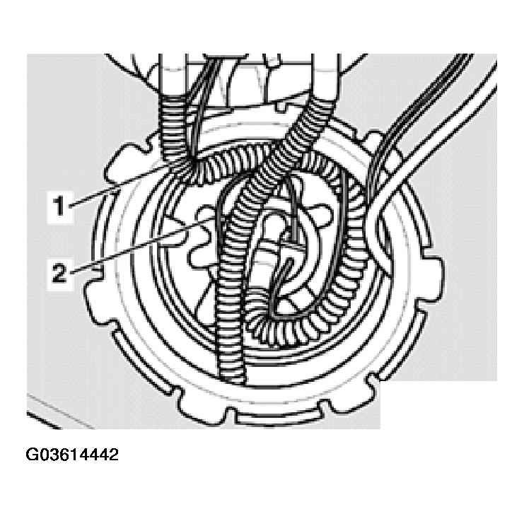 G03614442