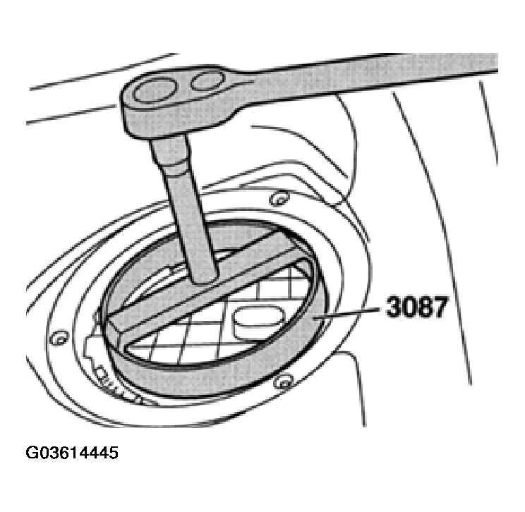 G03614445