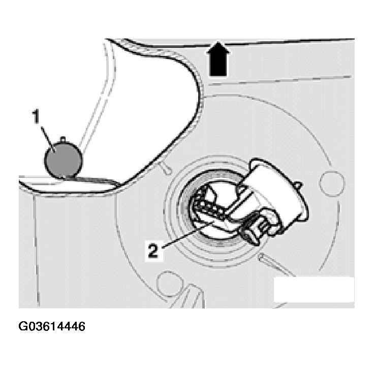G03614446