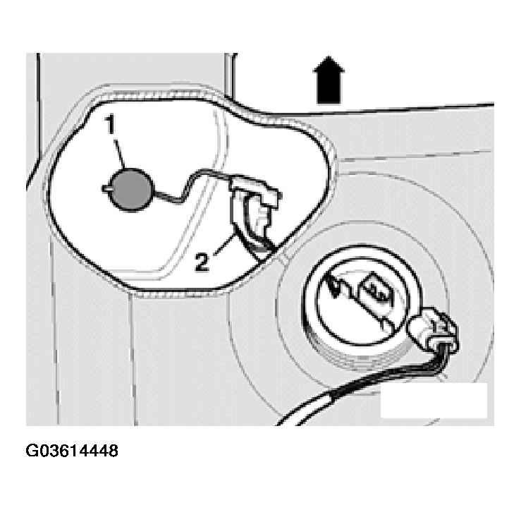 G03614448