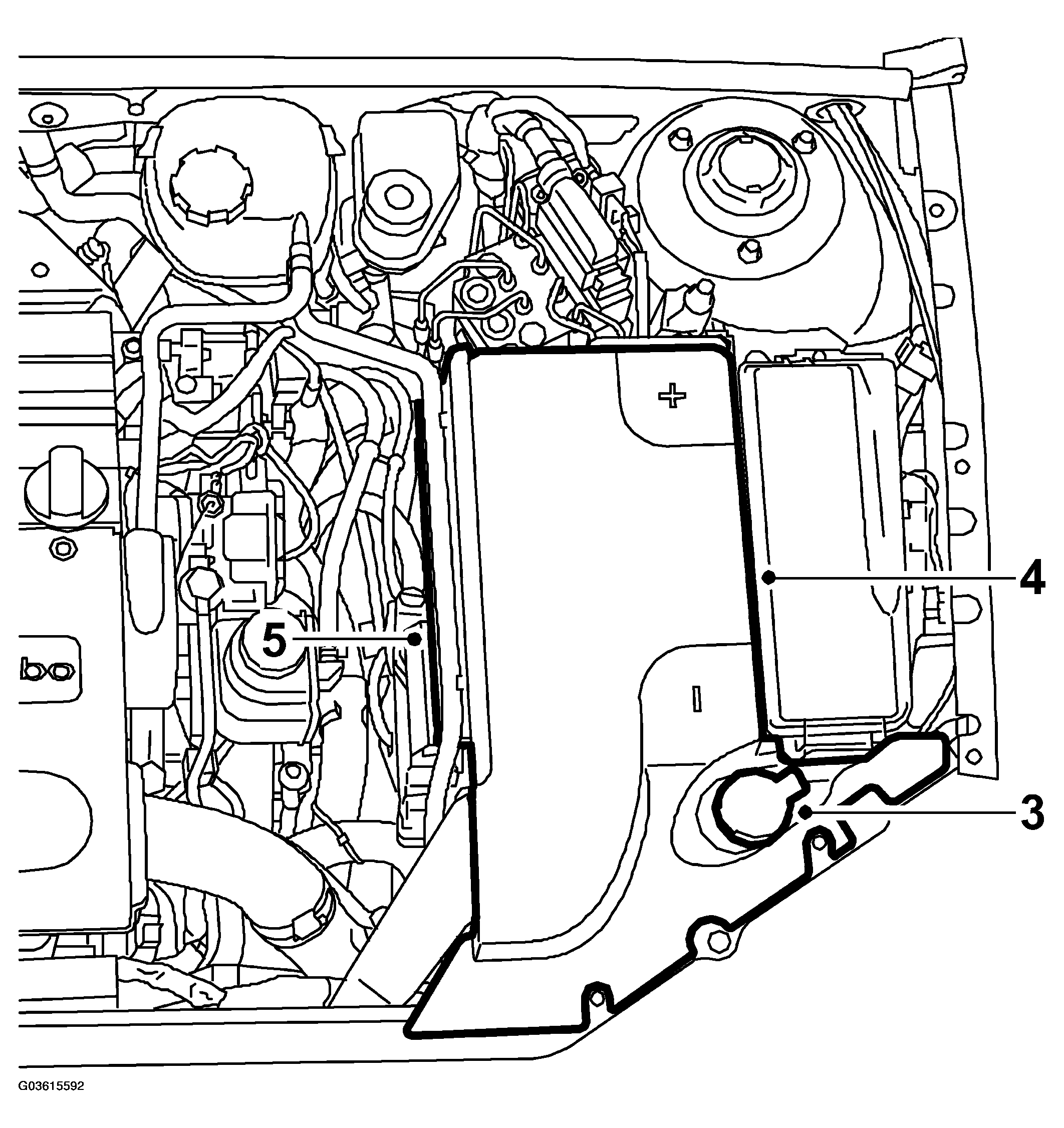 G03615592