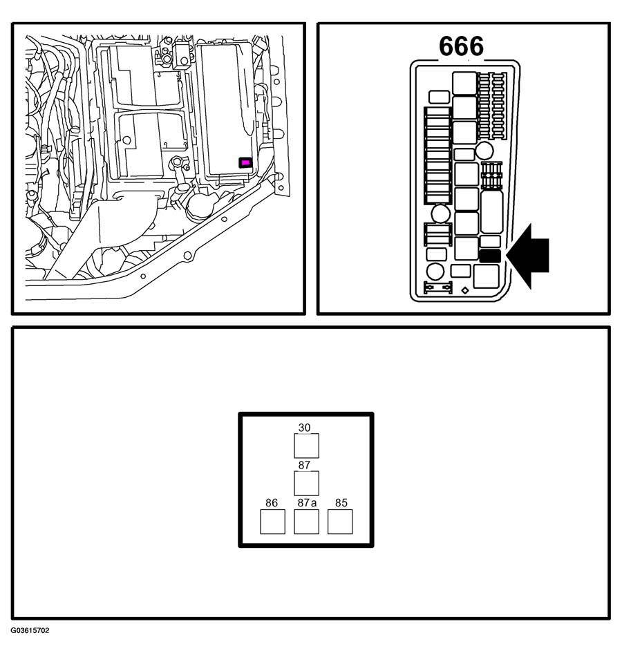 G03615702