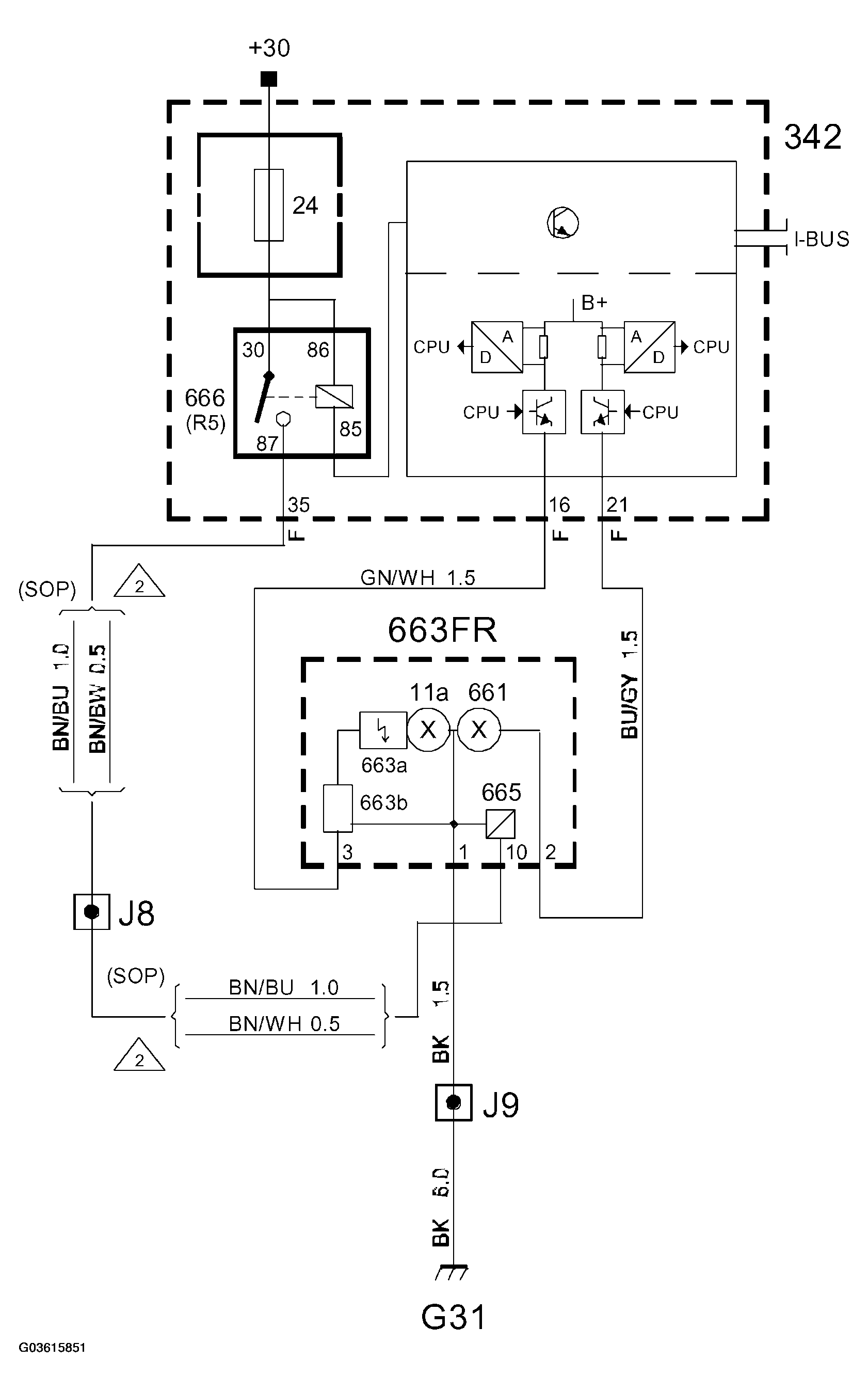 G03615851