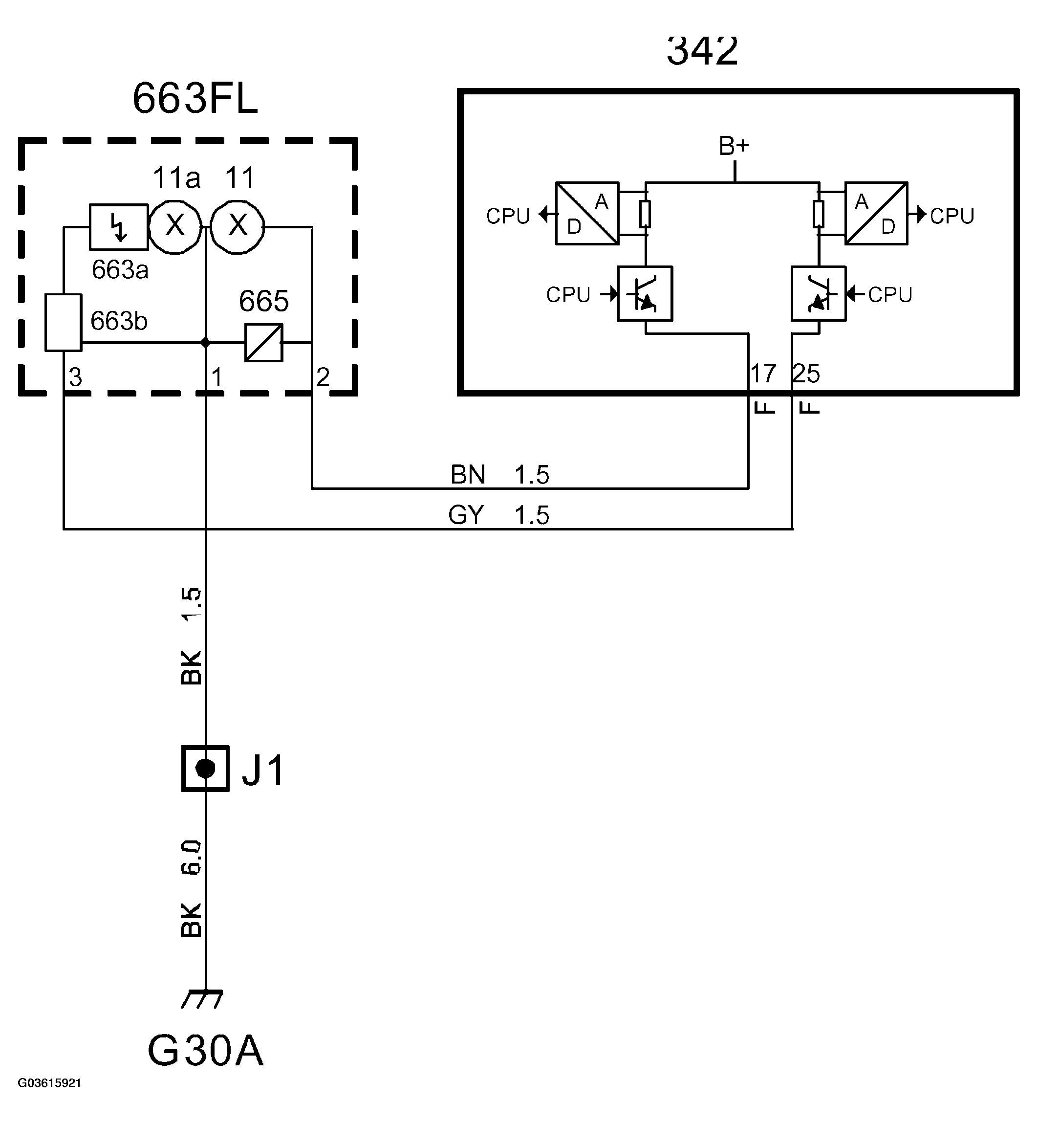 G03615921