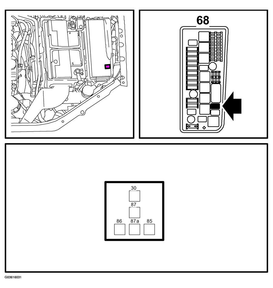 G03616031