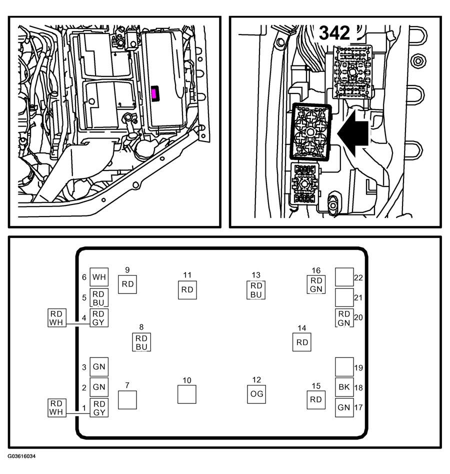 G03616034
