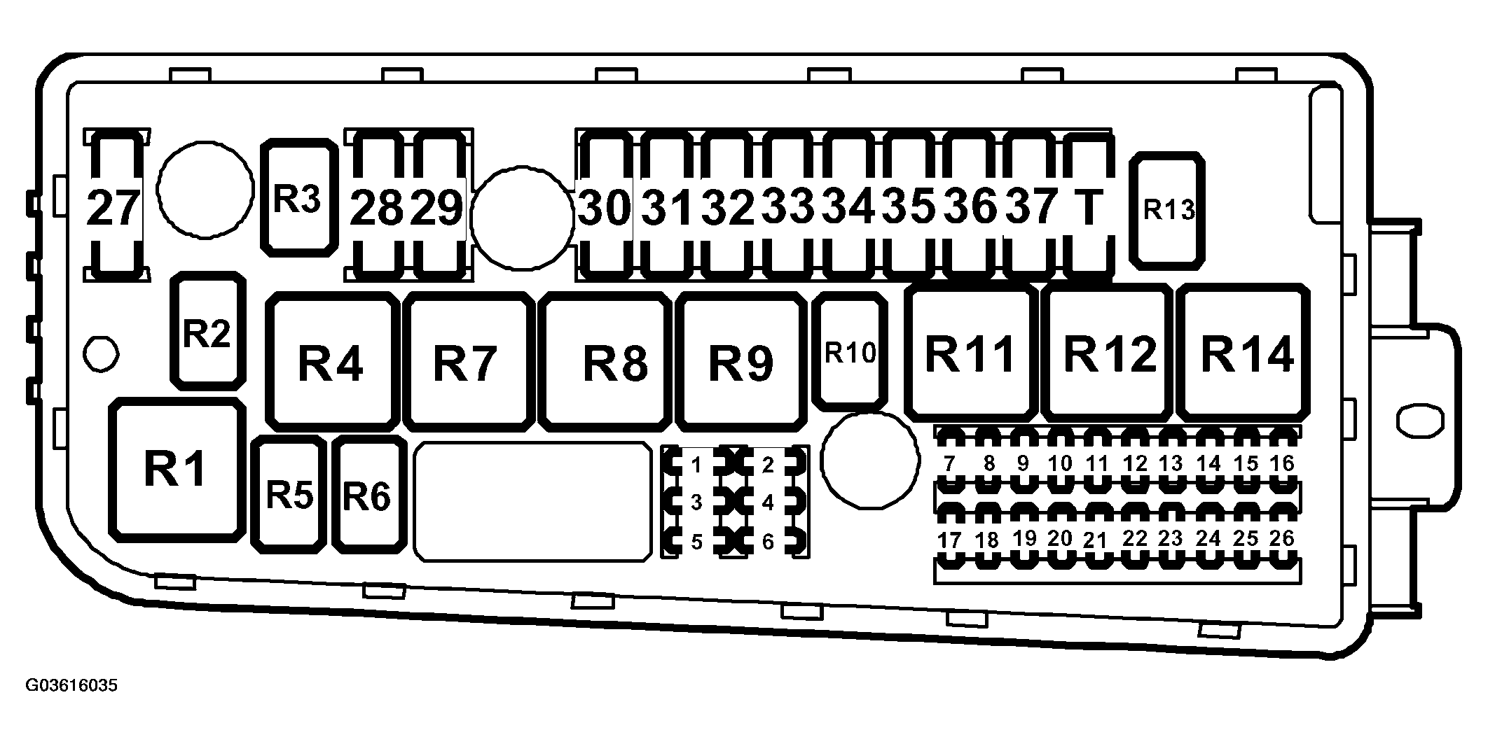 G03616035