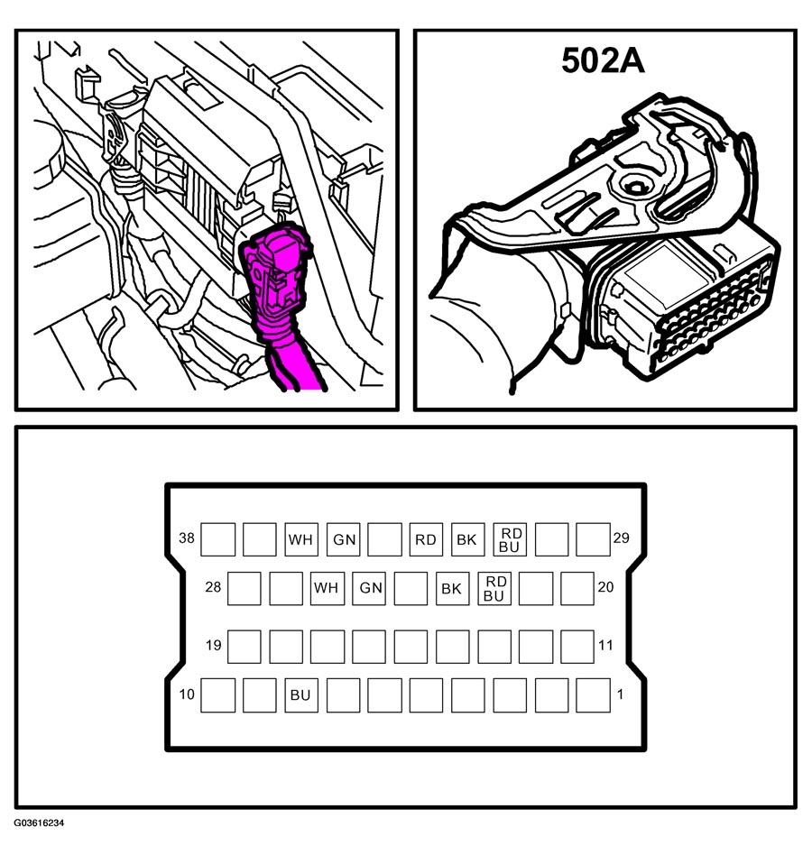 G03616234