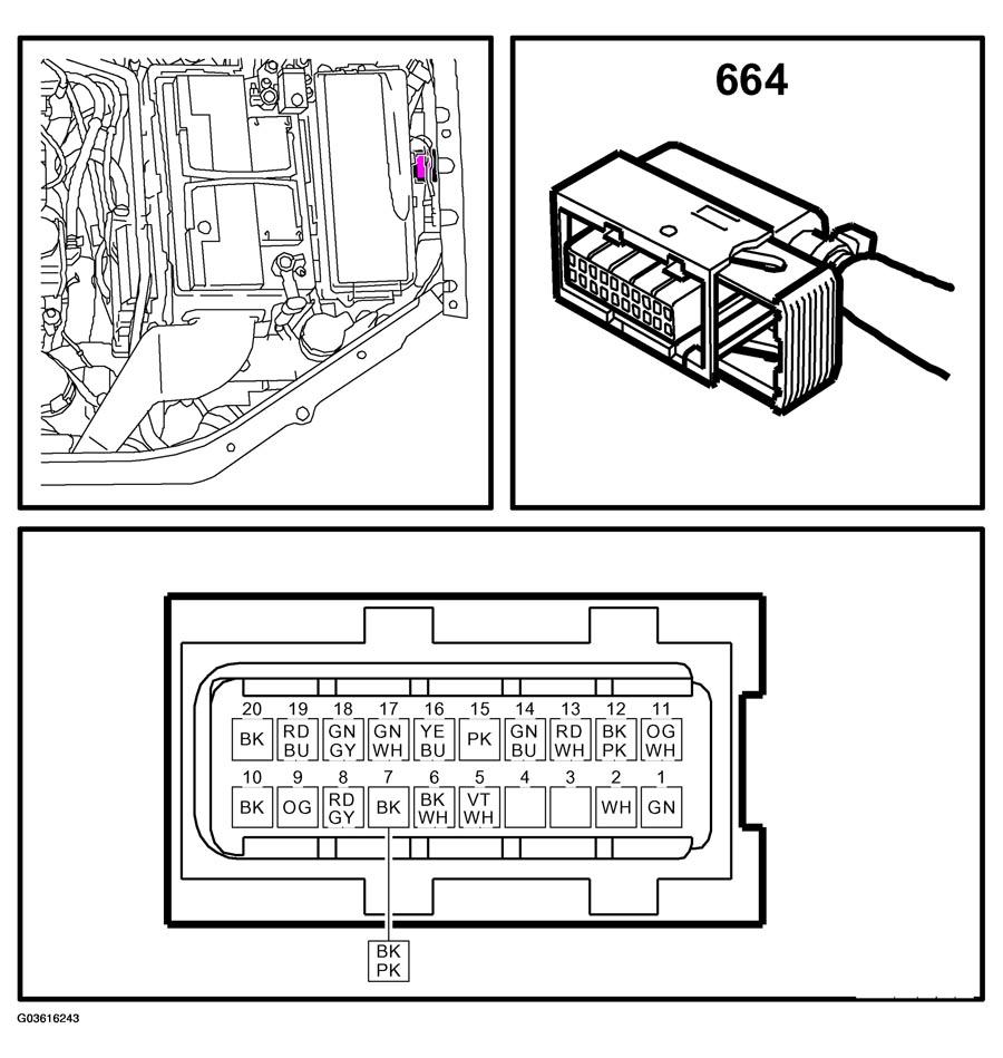 G03616243