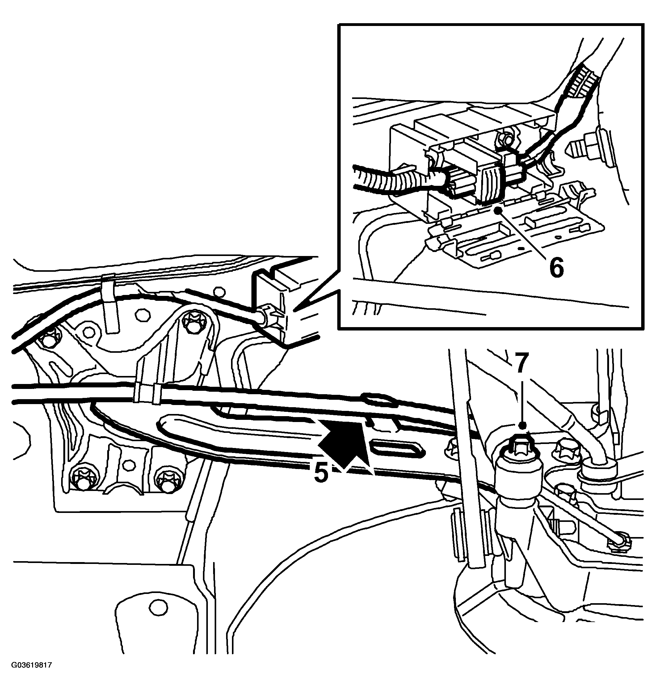 G03619817