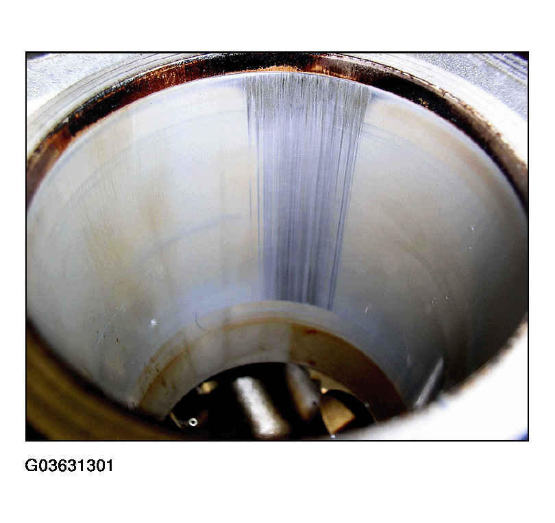 G03631301