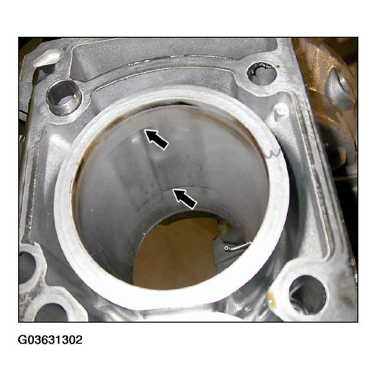 G03631302