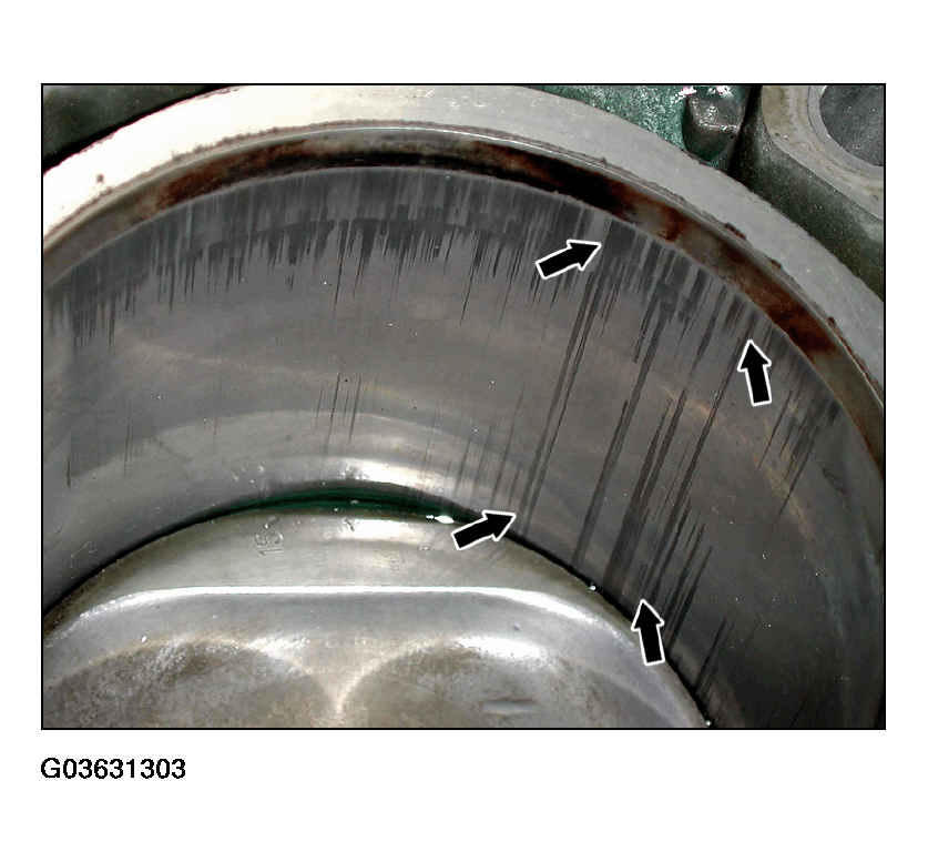 G03631303