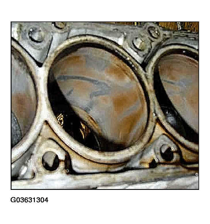 G03631304