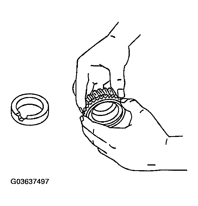 G03637497