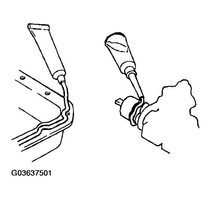 G03637501