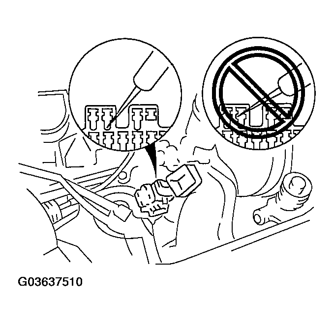G03637510