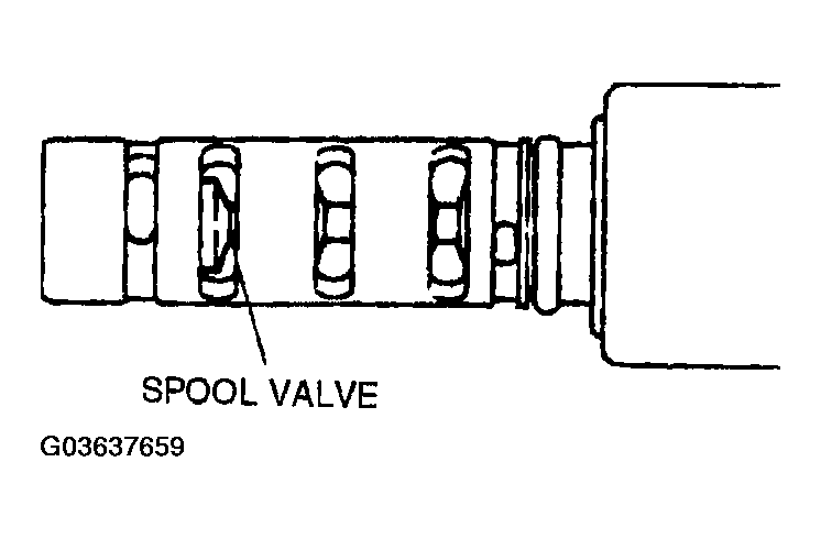 G03637659