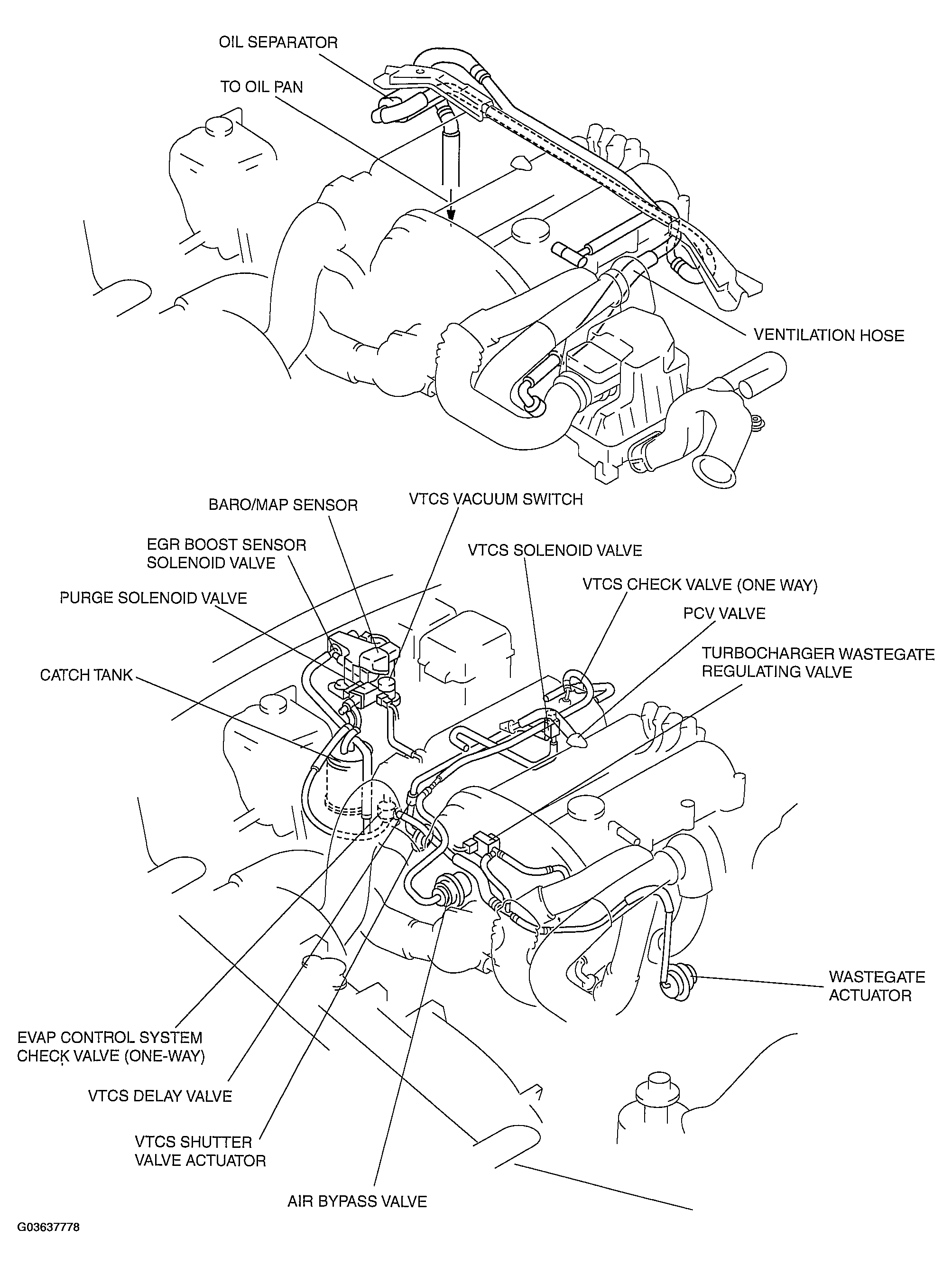 G03637778