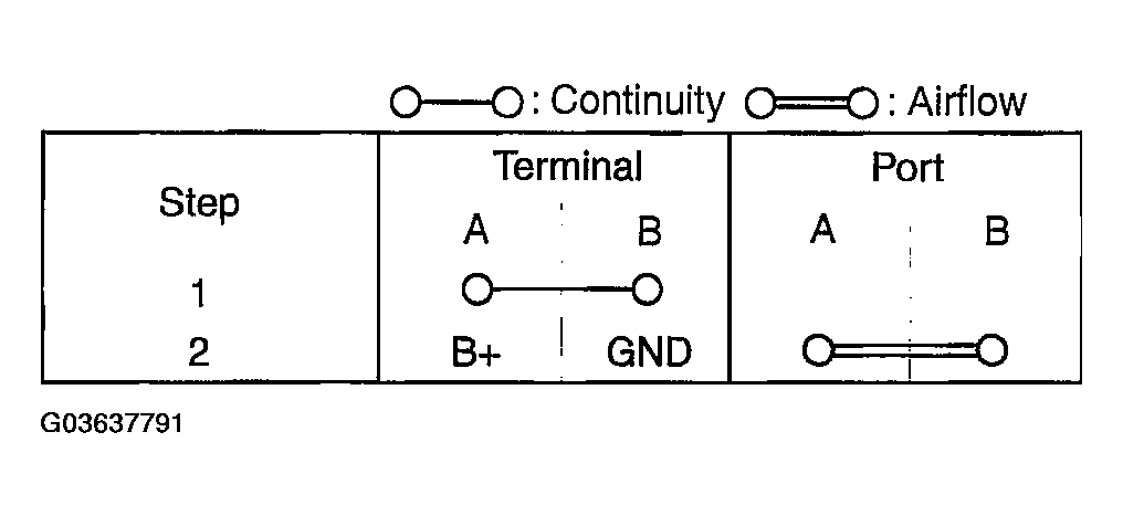 G03637791