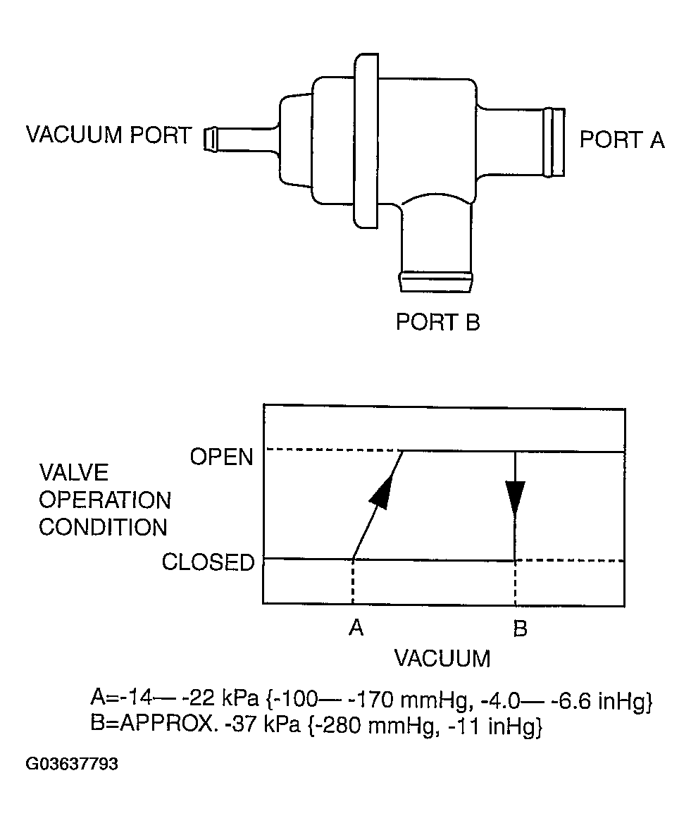 G03637793