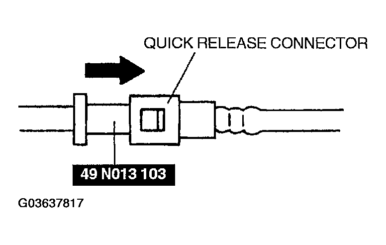 G03637817