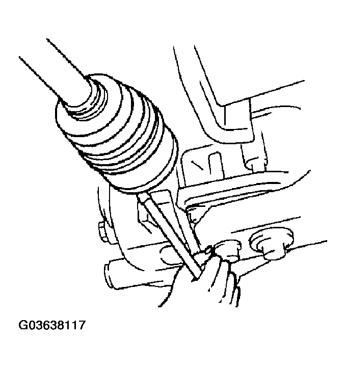 G03638117