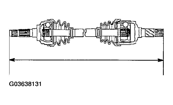 G03638131