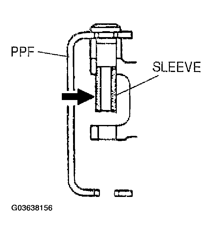 G03638156