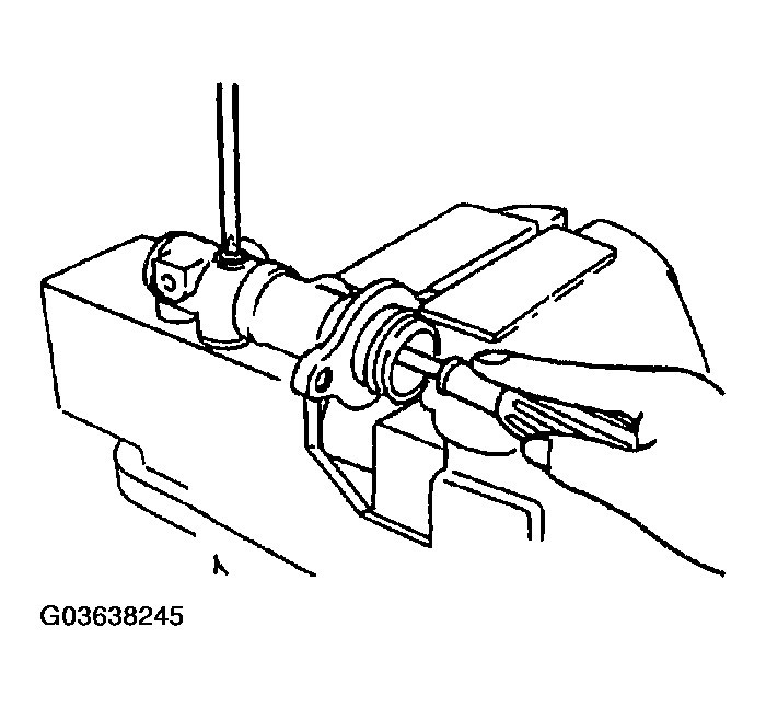 G03638245