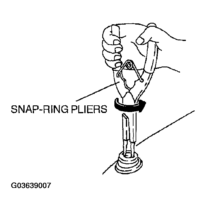 G03639007