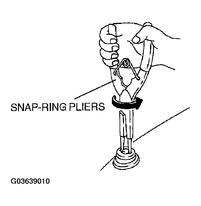 G03639010