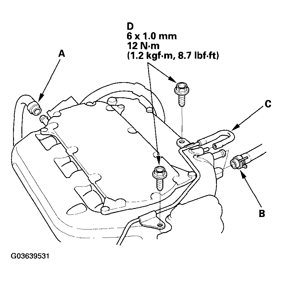 G03639531