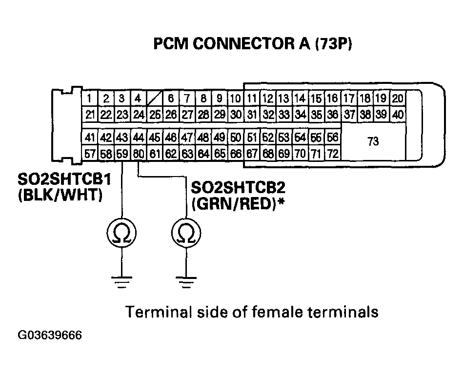 G03639666
