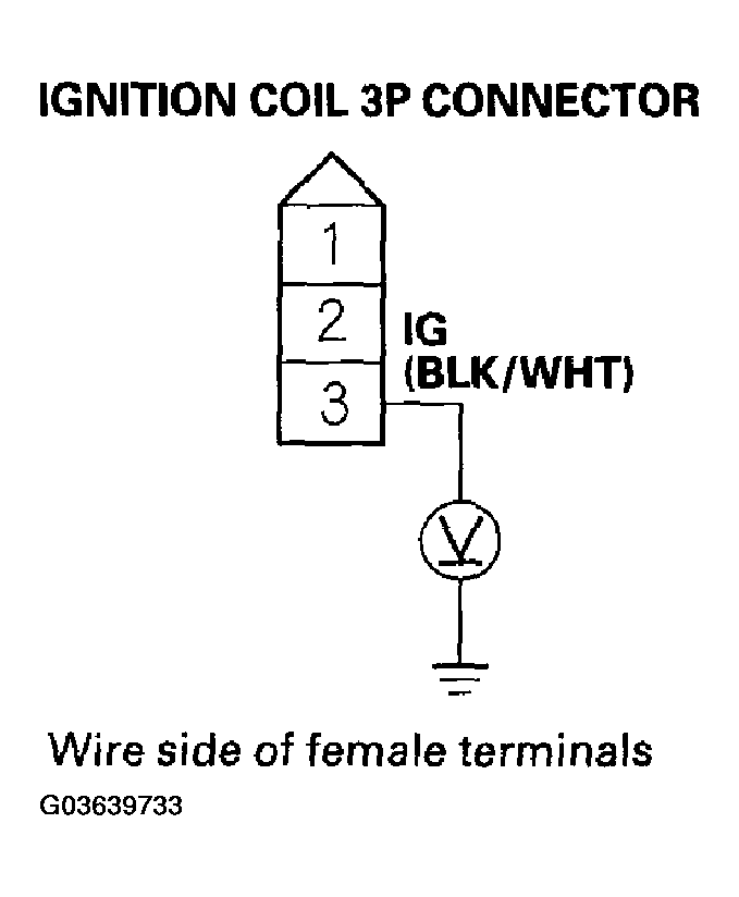 G03639733