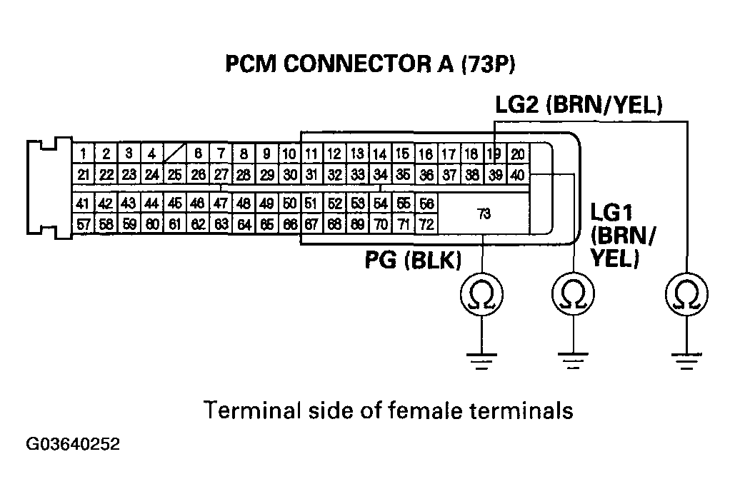 G03640252