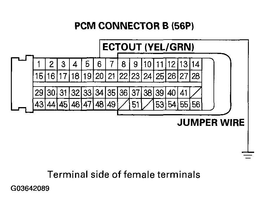 G03642089