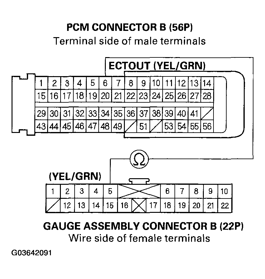G03642091