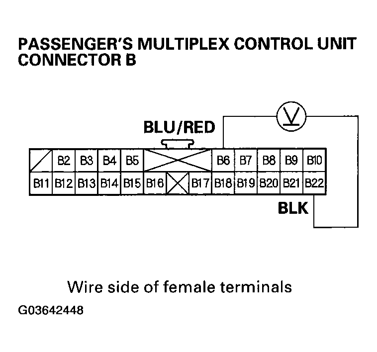 G03642448