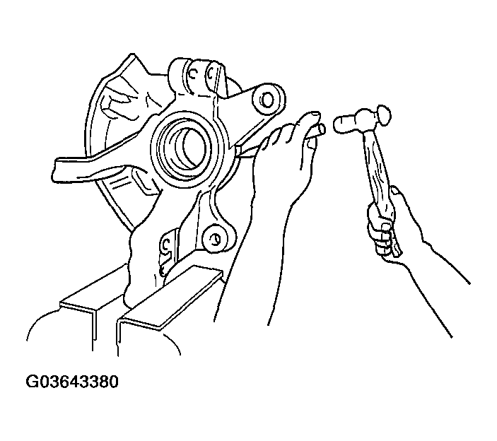 G03643380