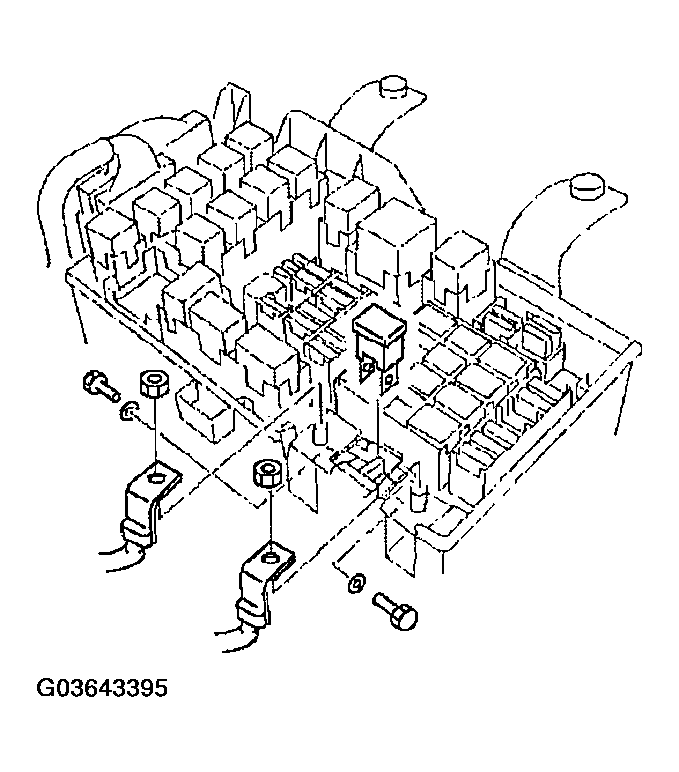 G03643395