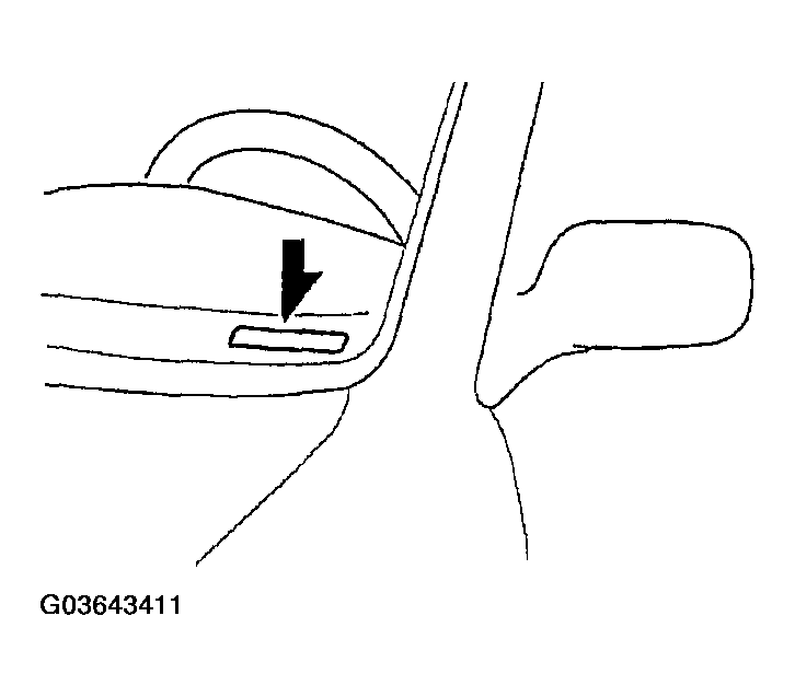 G03643411
